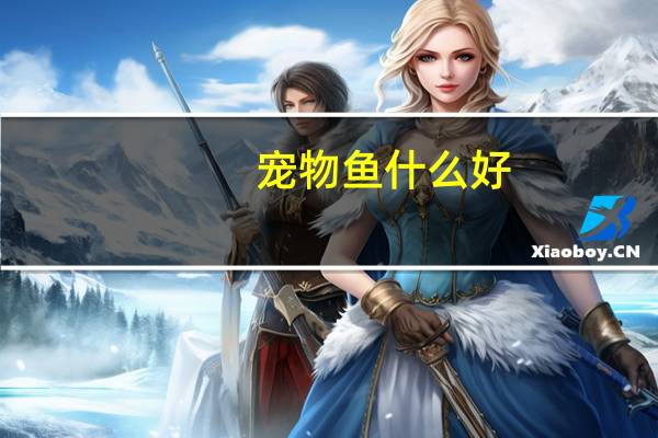 宠物鱼什么好