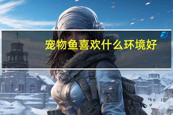 宠物鱼喜欢什么环境好
