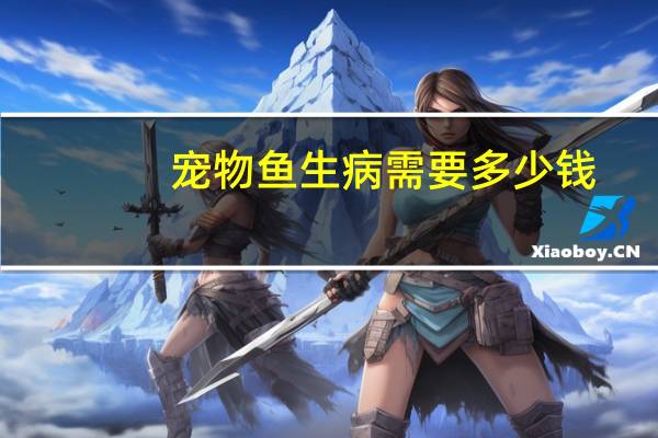 宠物鱼生病需要多少钱