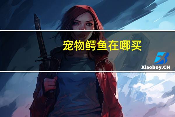 宠物鳄鱼在哪买