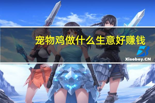 宠物鸡做什么生意好赚钱