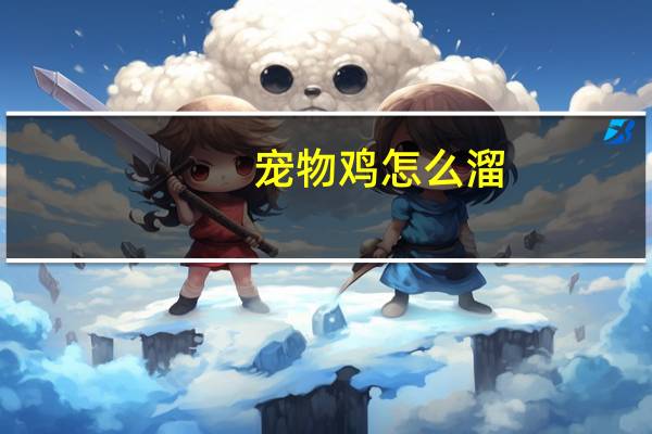 宠物鸡怎么溜
