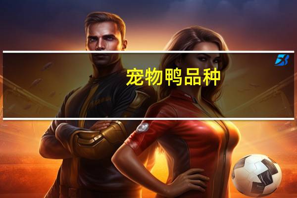 宠物鸭品种
