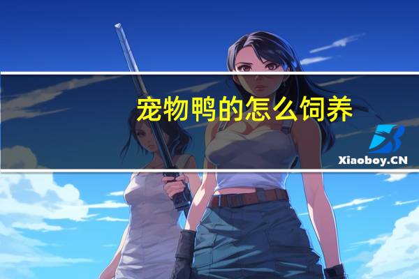 宠物鸭的怎么饲养
