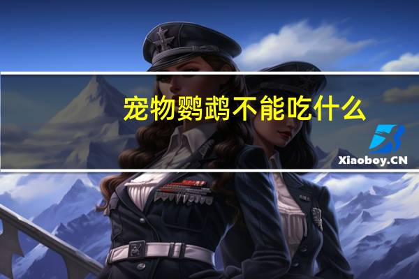 宠物鹦鹉不能吃什么