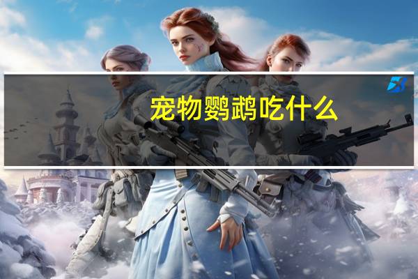 宠物鹦鹉吃什么