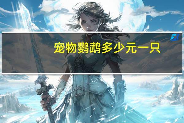 宠物鹦鹉多少元一只