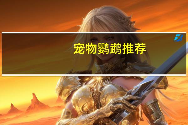 宠物鹦鹉推荐