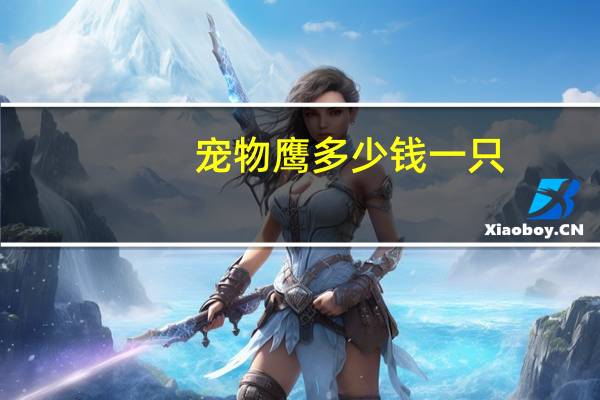 宠物鹰多少钱一只
