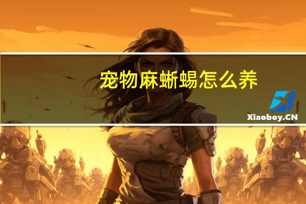 宠物麻蜥蜴怎么养
