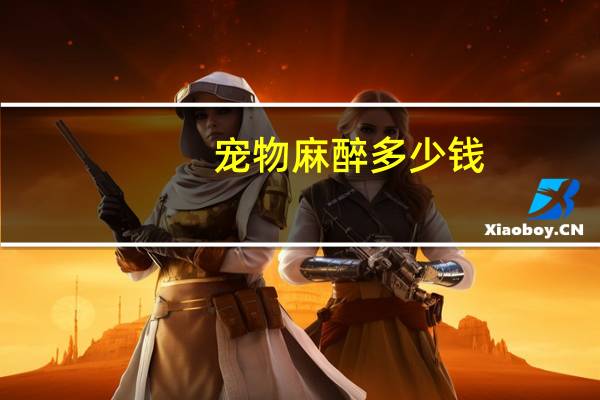 宠物麻醉多少钱