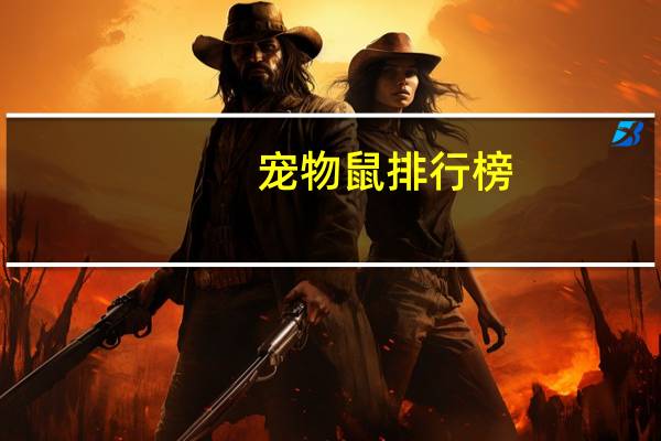 宠物鼠排行榜
