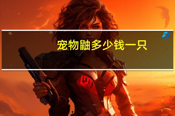 宠物鼬多少钱一只