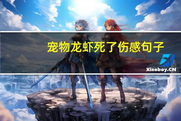 宠物龙虾死了伤感句子