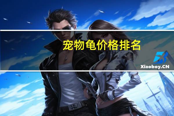 宠物龟价格排名