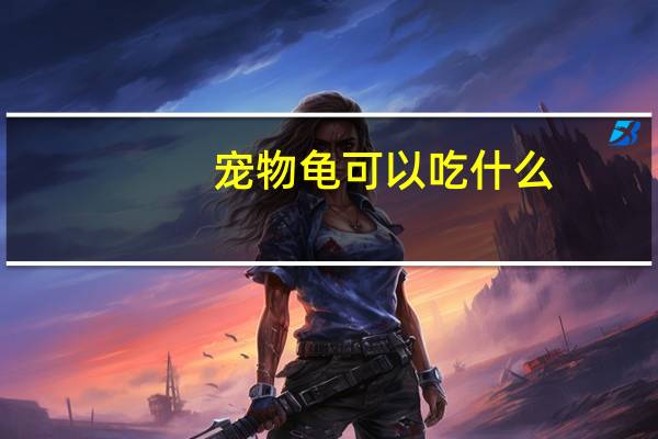 宠物龟可以吃什么
