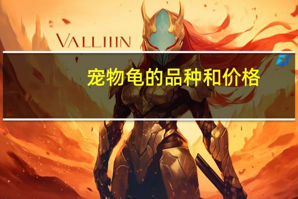 宠物龟的品种和价格