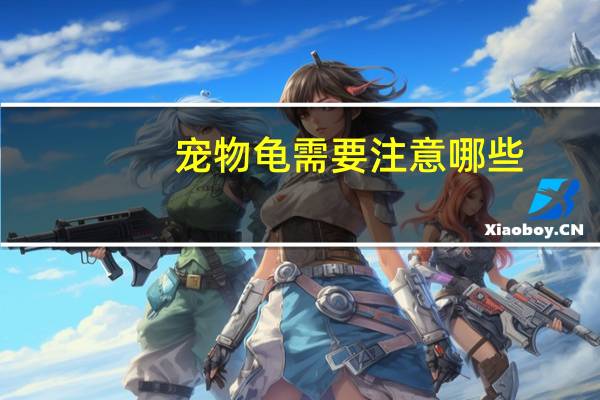 宠物龟需要注意哪些