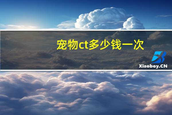 宠物ct多少钱一次