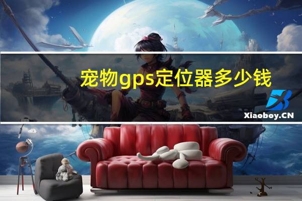 宠物gps定位器多少钱