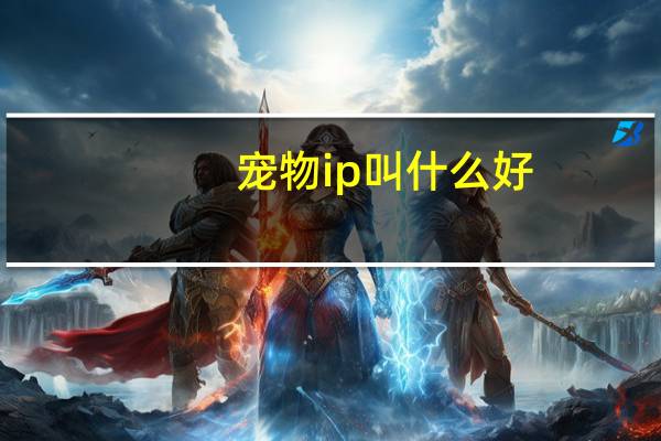 宠物ip叫什么好