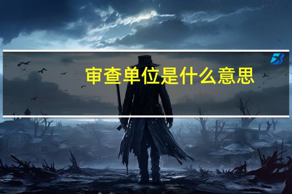 审查单位是什么意思