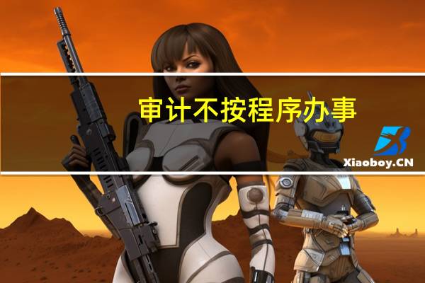 审计不按程序办事