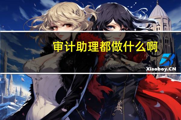 审计助理都做什么啊