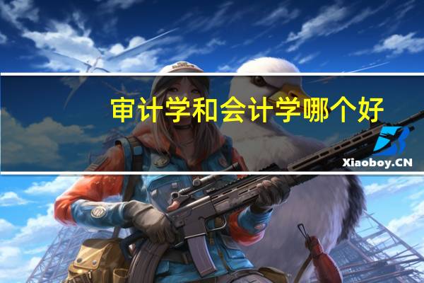 审计学和会计学哪个好