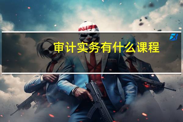 审计实务有什么课程