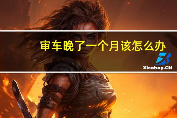 审车晚了一个月该怎么办