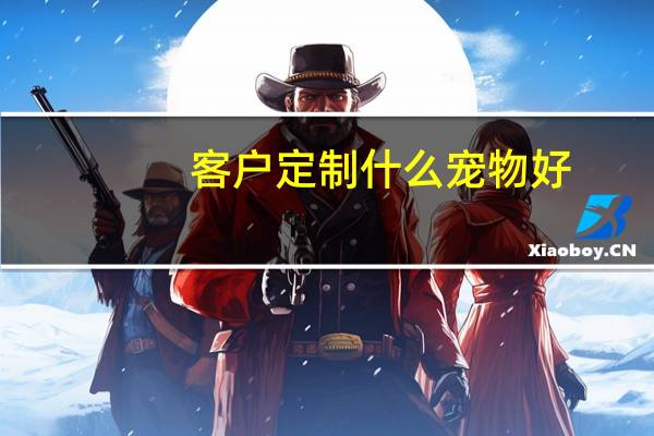 客户定制什么宠物好