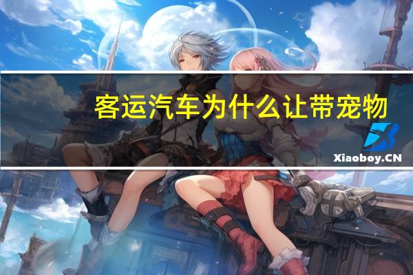 客运汽车为什么让带宠物