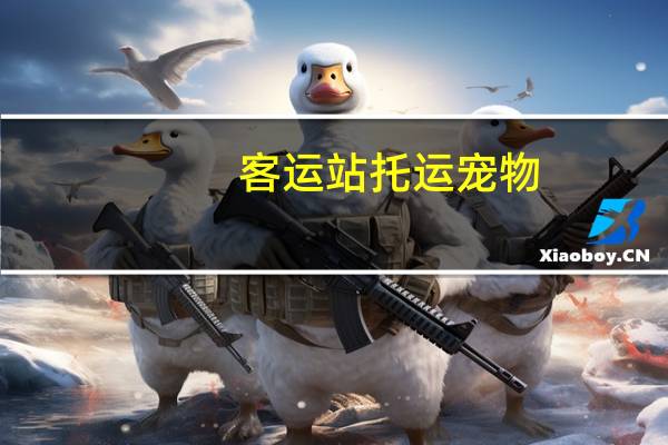 客运站托运宠物