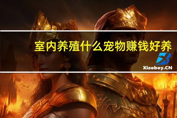 室内养殖什么宠物赚钱好养