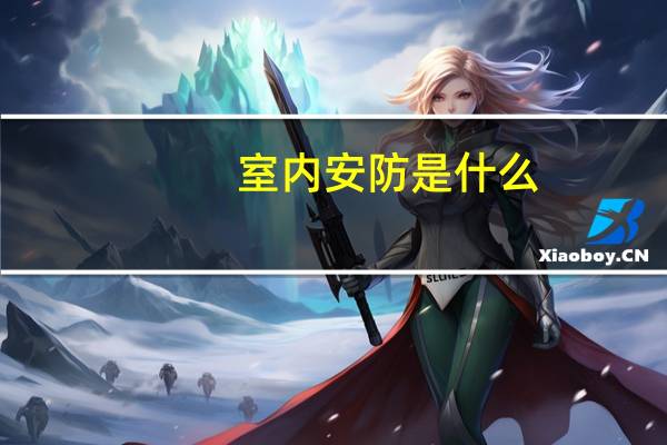 室内安防是什么