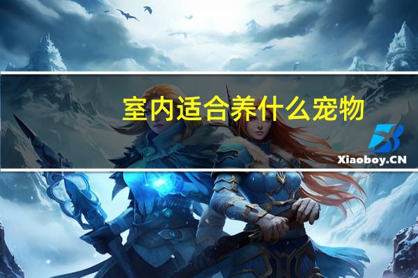 室内适合养什么宠物