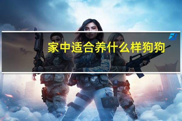 家中适合养什么样狗狗