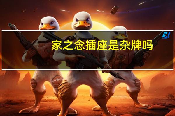家之念插座是杂牌吗