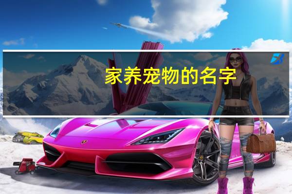 家养宠物的名字