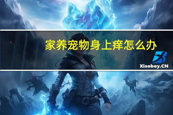 家养宠物身上痒怎么办