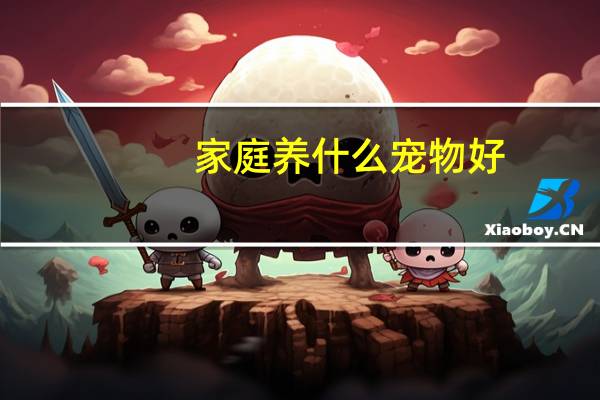 家庭养什么宠物好