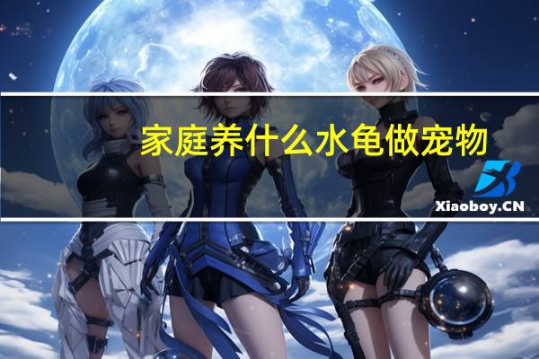家庭养什么水龟做宠物