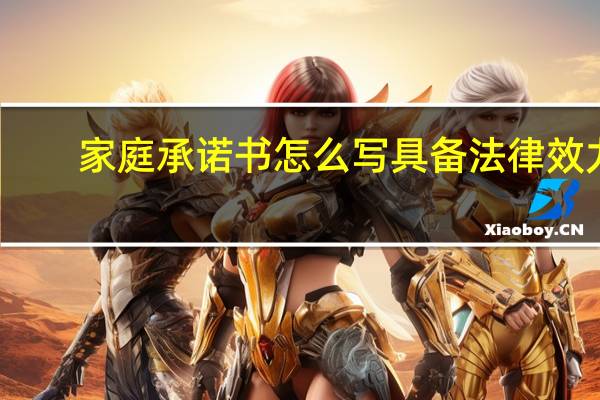 家庭承诺书怎么写具备法律效力