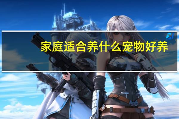 家庭适合养什么宠物好养