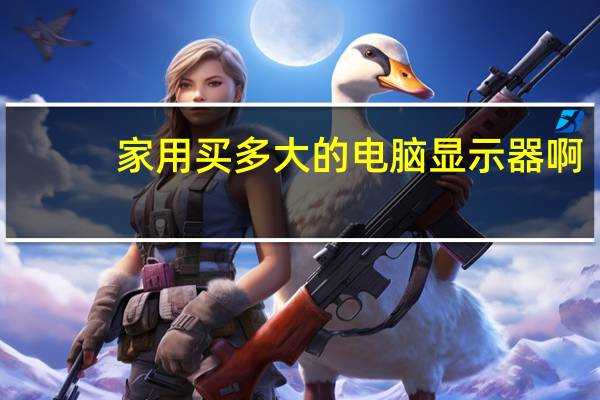 家用买多大的电脑显示器啊