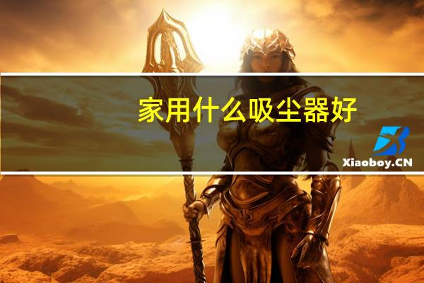 家用什么吸尘器好