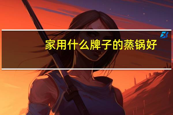 家用什么牌子的蒸锅好