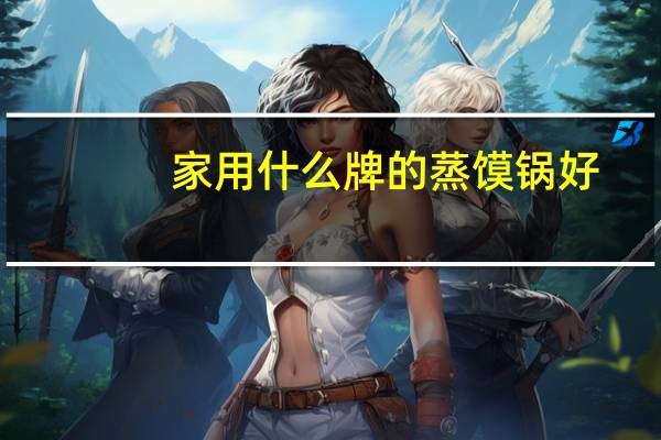 家用什么牌的蒸馍锅好