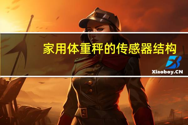 家用体重秤的传感器结构